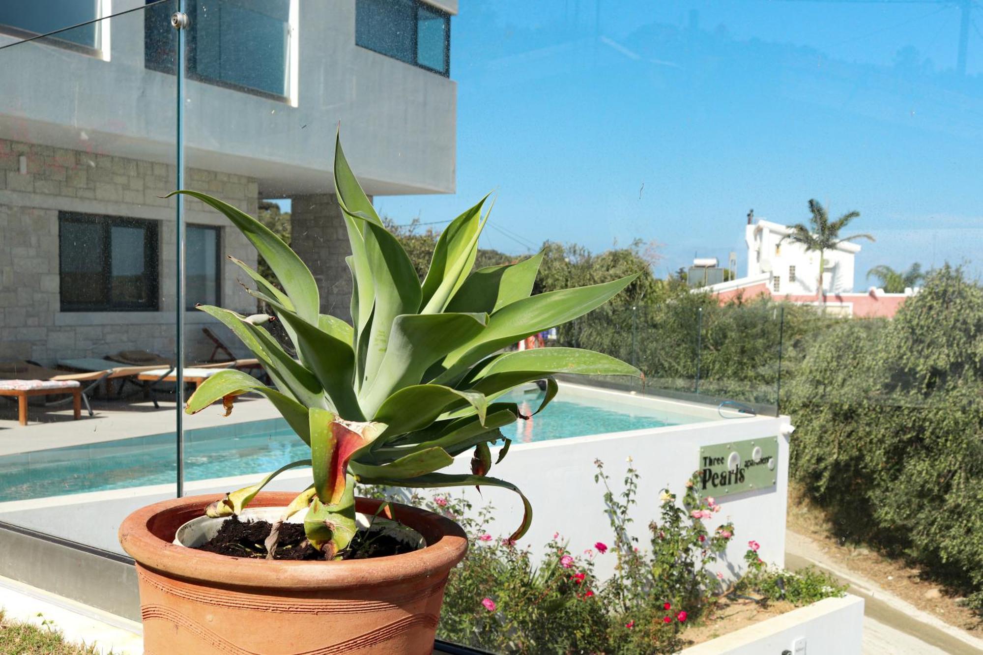Apartamento Cream Cozy Getaway - 3 Pearls Pool Retreat